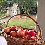 Apartment Cedro Del Libano Marano (Bologna)