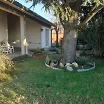 Cedro Del Libano Apartment Marano (Bologna)