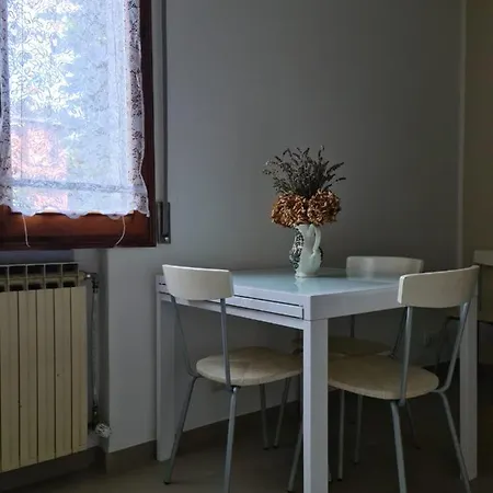 Cedro Del Libano Marano (Bologna)