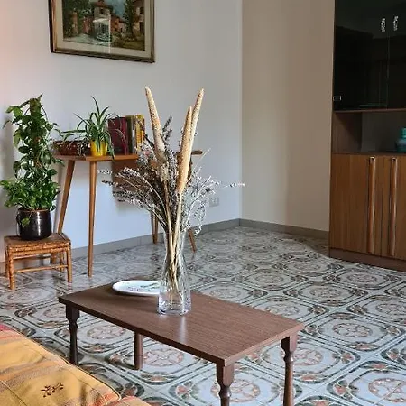 Cedro Del Libano * Marano (Bologna)