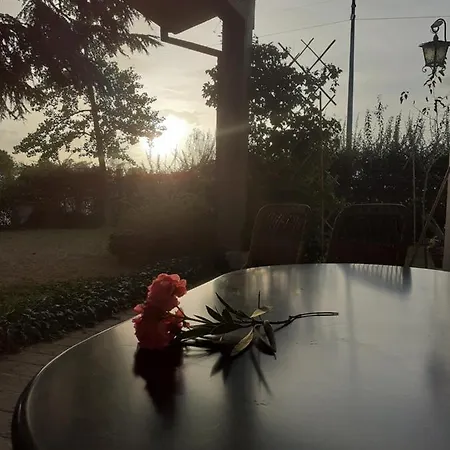 公寓 Cedro Del Libano *