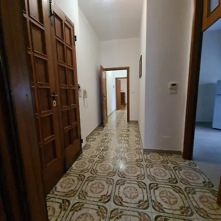 Cedro Del Libano Marano (Bologna)