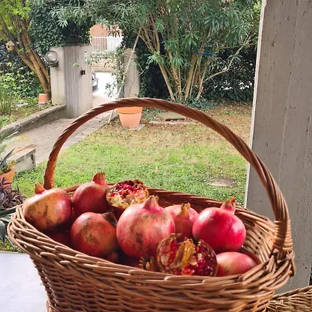 公寓 Cedro Del Libano Marano (Bologna)
