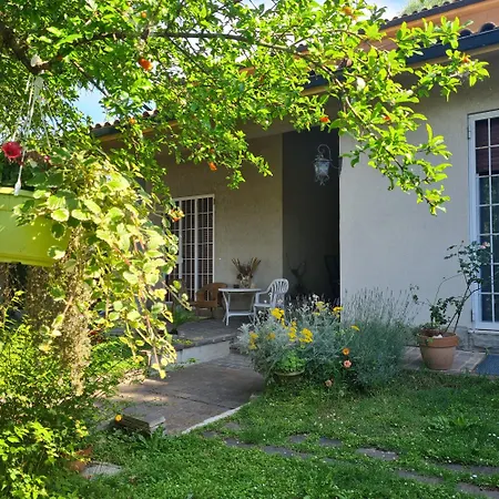 Cedro Del Libano Lejlighed Marano (Bologna)