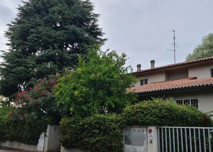 Cedro Del Libano * Marano (Bologna)