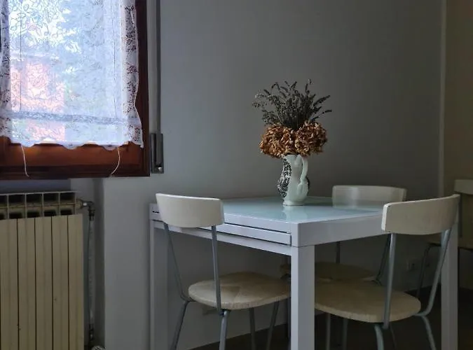 Cedro Del Libano Marano (Bologna)