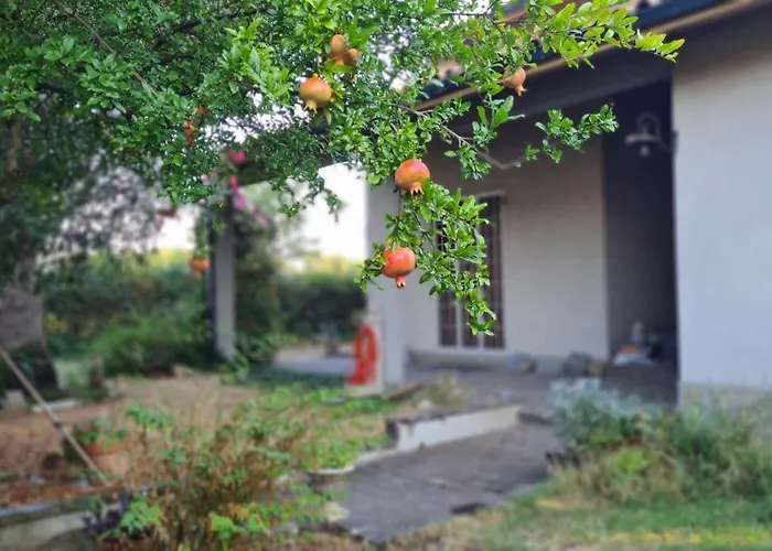 Cedro Del Libano شقة