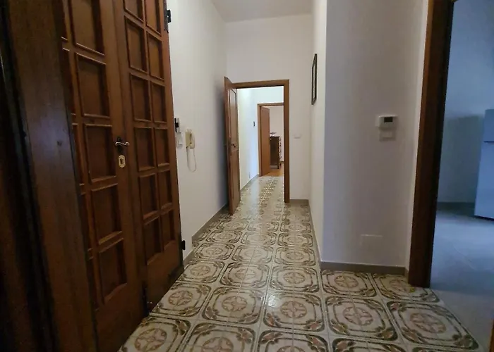 Cedro Del Libano Marano (Bologna)