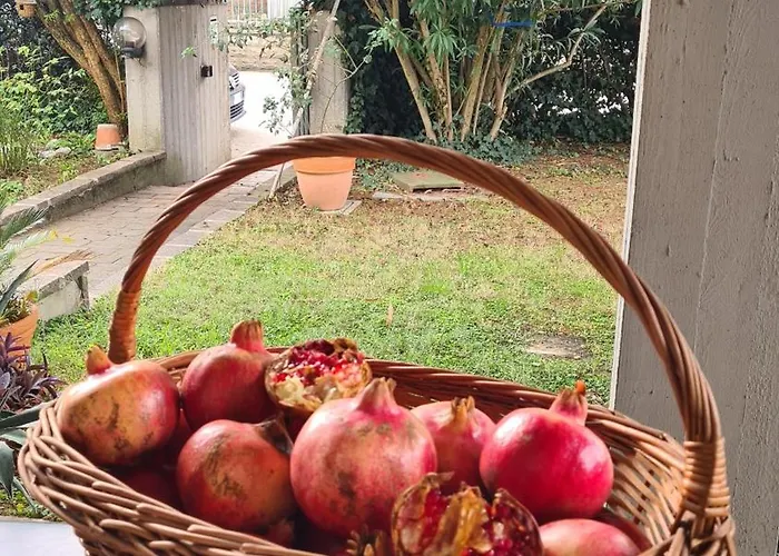 Lejlighed Cedro Del Libano Marano (Bologna)