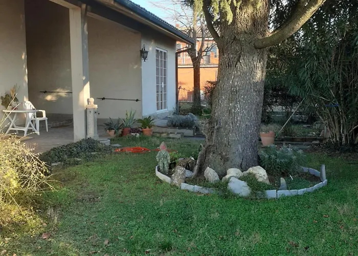 Cedro Del Libano Appartement Marano (Bologna)