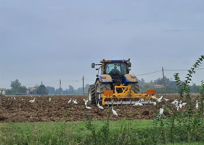 شقة Cedro Del Libano Marano (Bologna)